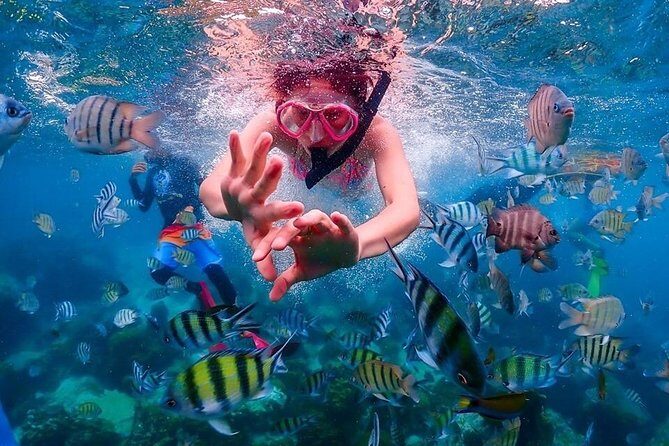 Nemo Island Experience with Drone Photos and Lunch - Drone and Underwater Photos: How to Get the Best Memories