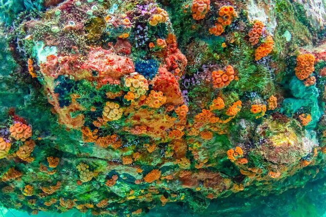 Nemo Island Experience with Drone Photos and Lunch - The Khao Chi Chan Photo Stop at Buddha Mountain