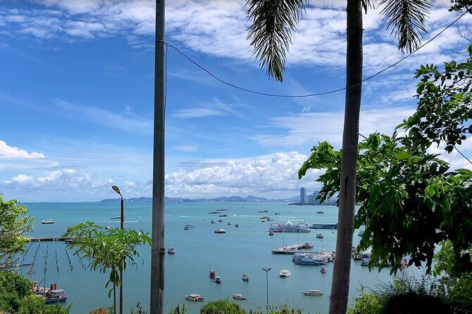 Pattaya City Tour: Big Buddha, Viewpoint and Gems Gallery - Who should book this tour (and who might want a different plan)