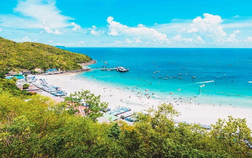 Pattaya: Coral Island (Koh Larn) Day Trip with Seafood Lunch - Beach time on Koh Larn: what you’ll actually feel on arrival