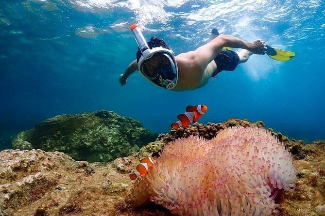 Pattaya: Coral Island Tour with Water Sports, Lunch & Pickup Drop - Price and value: is $88.57 worth it?