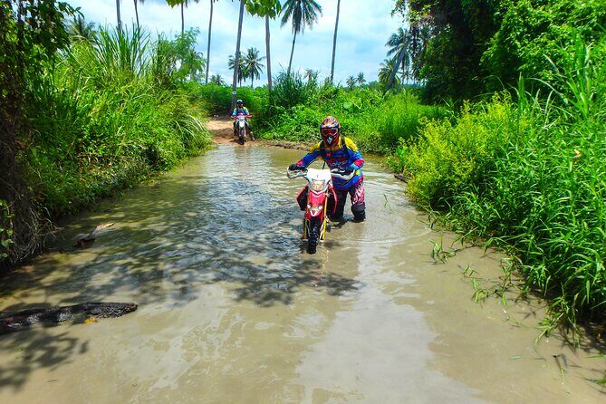 Pattaya Half Day Dirt Bike Tour - Routes in the real world: dirt roads, pineapple fields, and jungle single-tracks