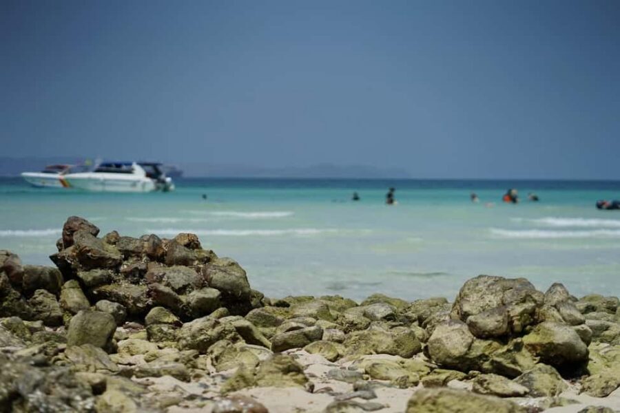 Pattaya Island Trip with Indian Lunch & Flexible Pickup Time - Pickup timing and speedboat logistics: choose your start wisely