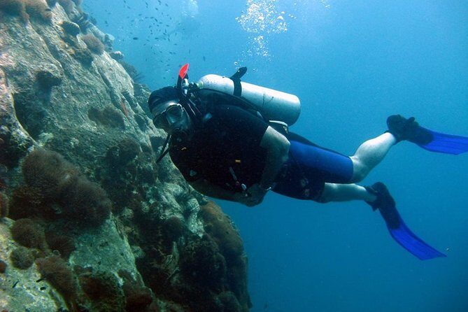 Pattaya PADI Scuba Diving Two Exciting Try Dives with PADI Instructor in Pattaya - From Pattaya to the islands: the 8:00 am start you can plan around
