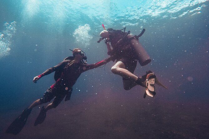 Pattaya PADI Scuba Diving Two Exciting Try Dives with PADI Instructor in Pattaya - Two reef sessions around coral habitat: how the schedule stays fun