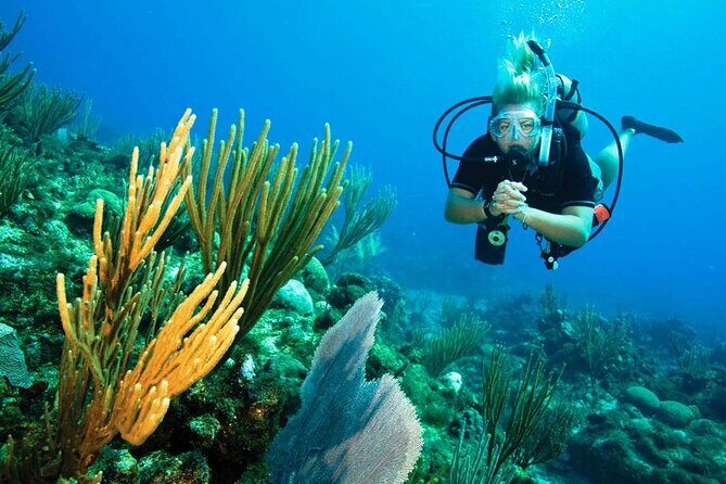 Pattaya PADI Scuba Diving Two Exciting Try Dives with PADI Instructor in Pattaya - Price and value: is $161.58 worth it?