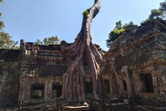 Pattaya to Angkor Wat 2 days 1 night Private tour - Ta Prohm: the tree-root temple people recognize instantly