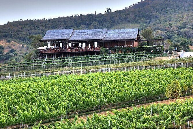 Private Experience of Wine Tasting Hua Hin in Monsoon Valley - Key highlights worth planning for