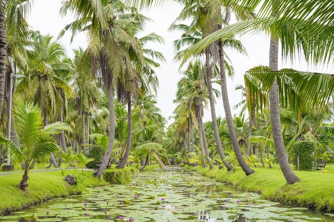 Private Tour: Floating Markets and Suan Sampran Day Trip from Bangkok - Who this trip suits best (and who should consider alternatives)