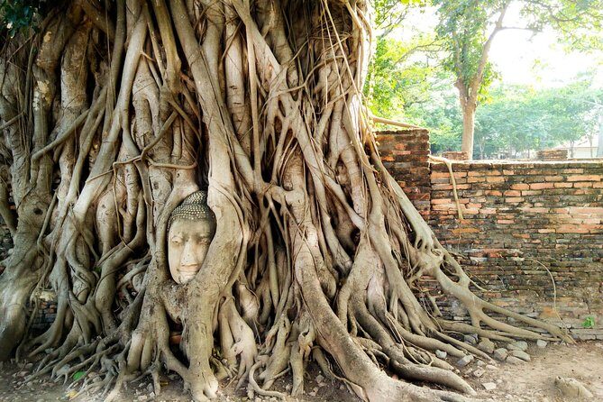 Private Tour: Full Day Ancient City of Ayutthaya and Lopburi - Private comfort from Bangkok: 9 hours with AC, pickup, and a real plan