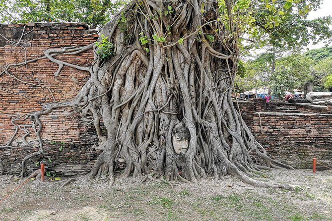 Private tour to Ayutthaya and Lopburi Monkey Temple (from Bangkok) - Who Should Book This Private Tour?