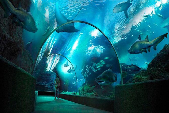 Sea Life Bangkok Ocean World Tickets - Price and Value: $44 for Aquarium Entry Plus Madame Tussauds