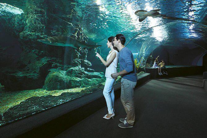 SEA LIFE & Madame Tussauds: Ultimate Bangkok Combo Ticket - How to Plan Your Day: Timing Between Two Attractions Without Stress