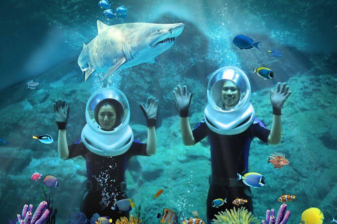 SEA LIFE & Madame Tussauds: Ultimate Bangkok Combo Ticket - Should You Book This Bangkok Combo Ticket?
