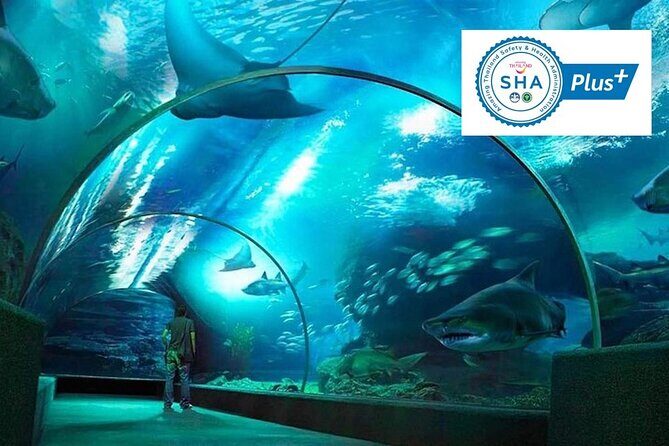 SEA LIFE & Madame Tussauds: Ultimate Bangkok Combo Ticket - SEA LIFE Bangkok Ocean World: A Big Aquarium Visit That Works for Families