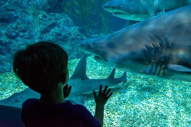 SEA LIFE Ocean World at Bangkok Admission Ticket - Timing and flow: how to use your day well