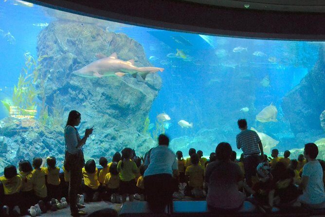 SEA LIFE Ocean World at Bangkok Admission Ticket - Food, comfort, and what to pack