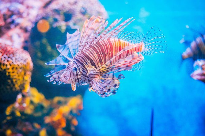 SEA LIFE Ocean World at Bangkok Admission Ticket - Family-friendly or date-friendly: who will enjoy it most