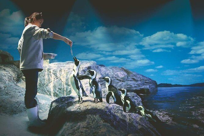 SEA LIFE Ocean World at Bangkok Admission Ticket - A smart heads-up about marketing photos