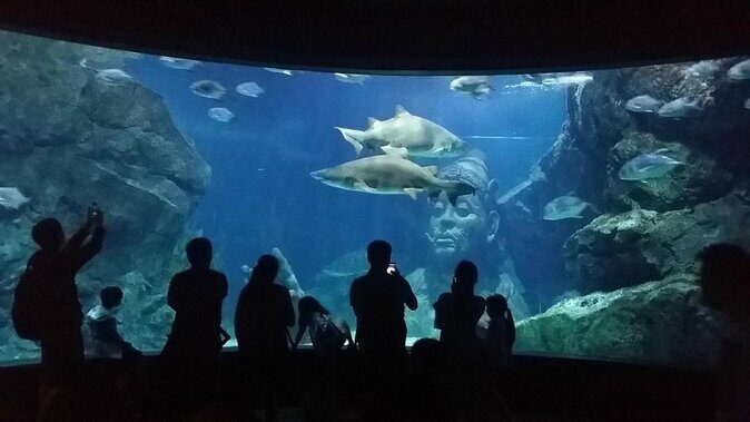 SEA LIFE Ocean World at Bangkok Admission Ticket - Your 3-hour game plan through 7 themed exhibits