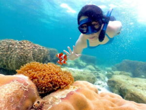 Snorkel & Chill: Nemo Island Trip from Pattaya - Nemo Island and Samesan: what you’re actually snorkeling near
