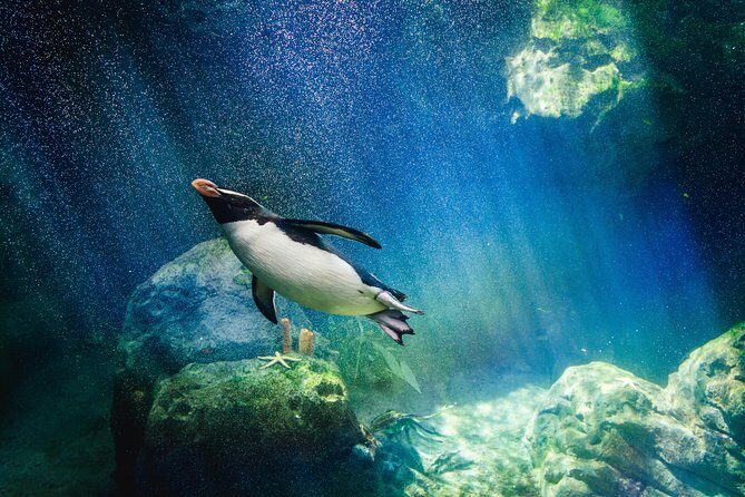 Underwater World Pattaya (Ticket Only) - Key highlights I’d actually plan around