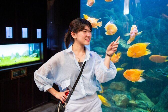 Underwater World Pattaya (Ticket Only) - Your 10:00 am game plan in Pattaya (simple and realistic)