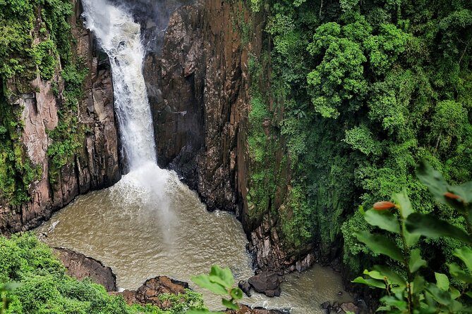 UNESCO Khao Yai National Park Adventure: Hiking & Waterfalls - Who this tour fits best (and who may want to skip it)