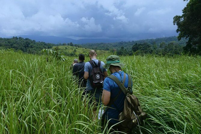 UNESCO Khao Yai National Park Adventure: Hiking & Waterfalls - Getting from Bangkok: start early, then ride for the park